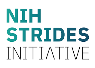 STRIDES icon