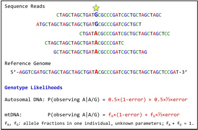 Genotype Likelihood Calculation